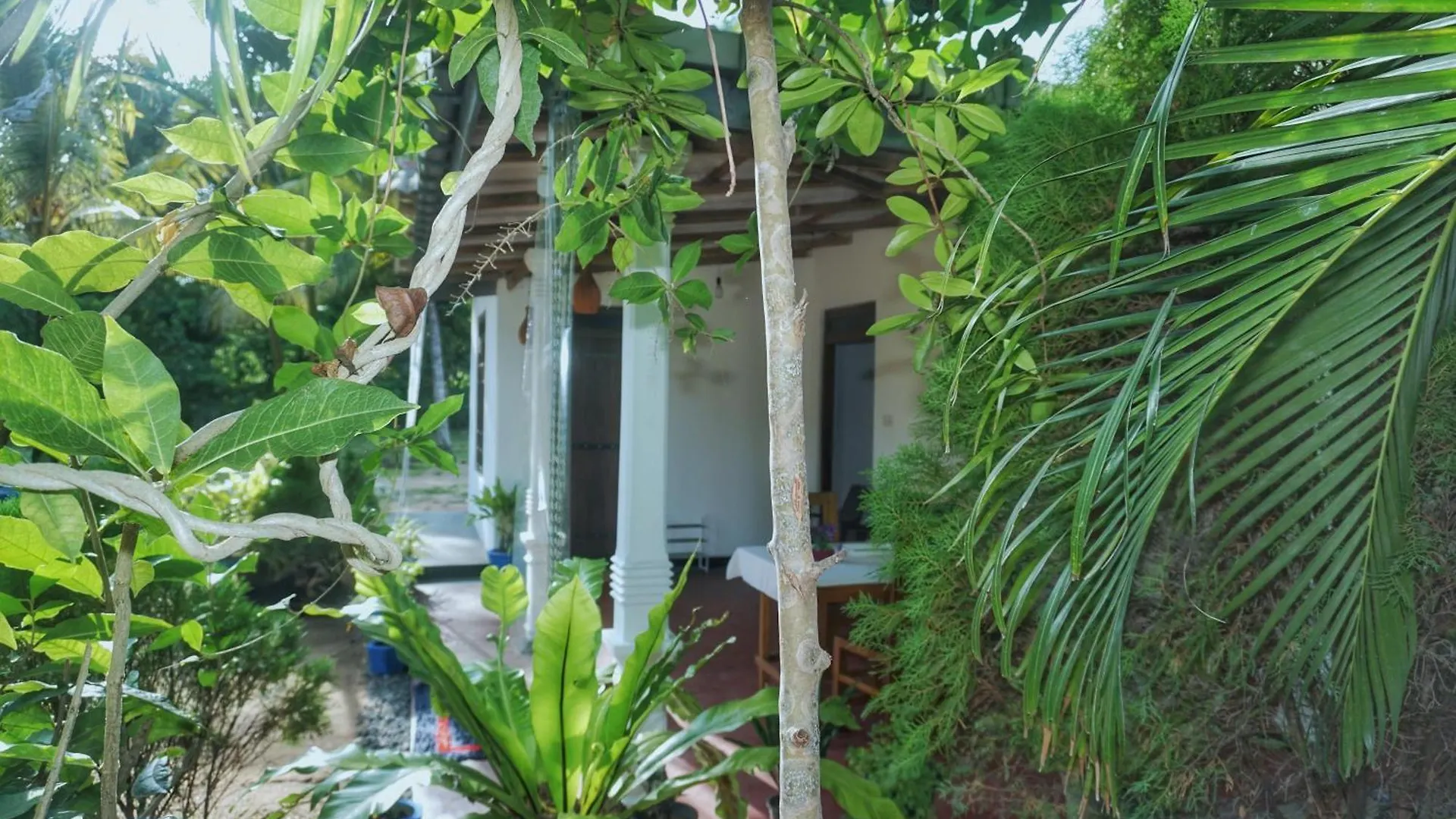 Sashini Homestay Sigiriya 0*,